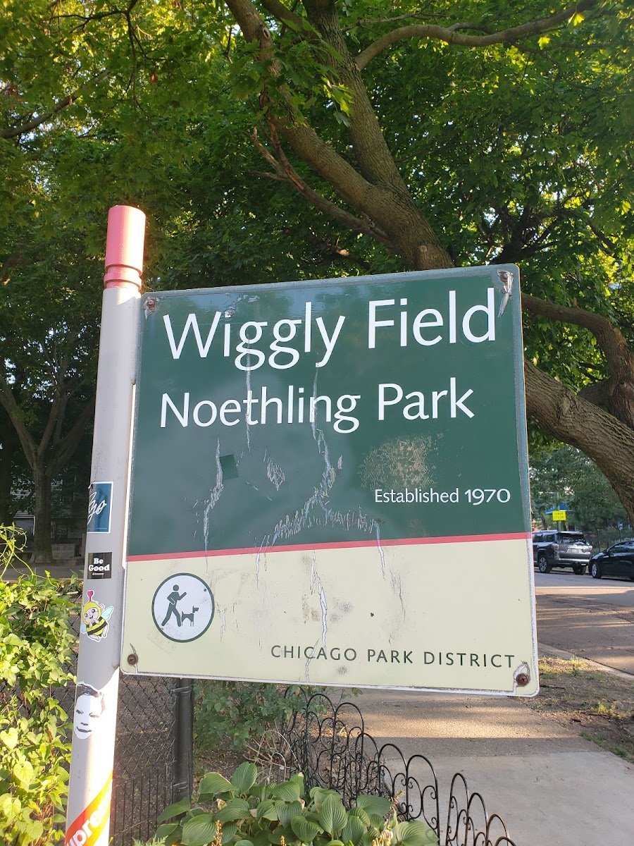 Wiggly Field Dog Park - Photo 2