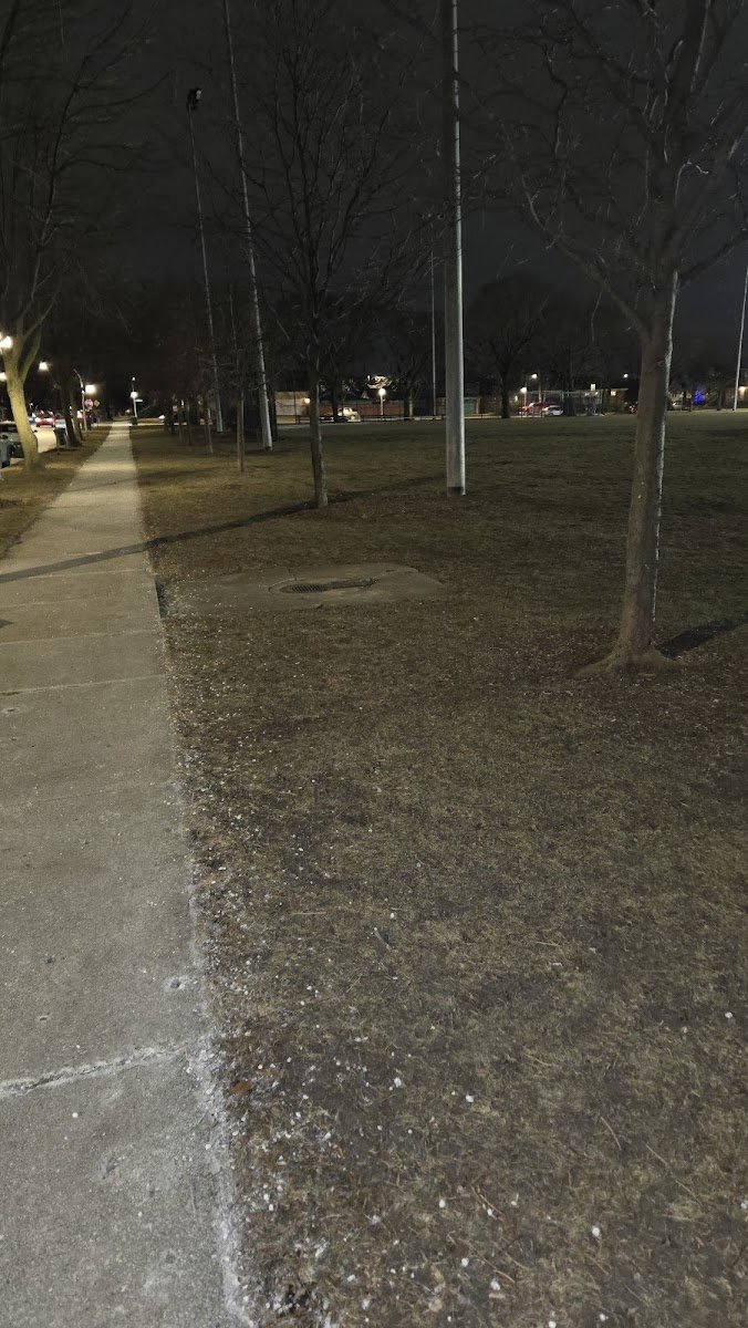 Hiawatha Park - Photo 2
