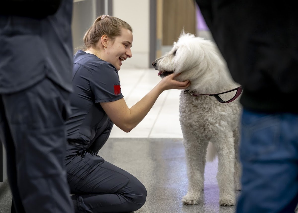 West Loop Veterinary Care Streeterville - Photo 2