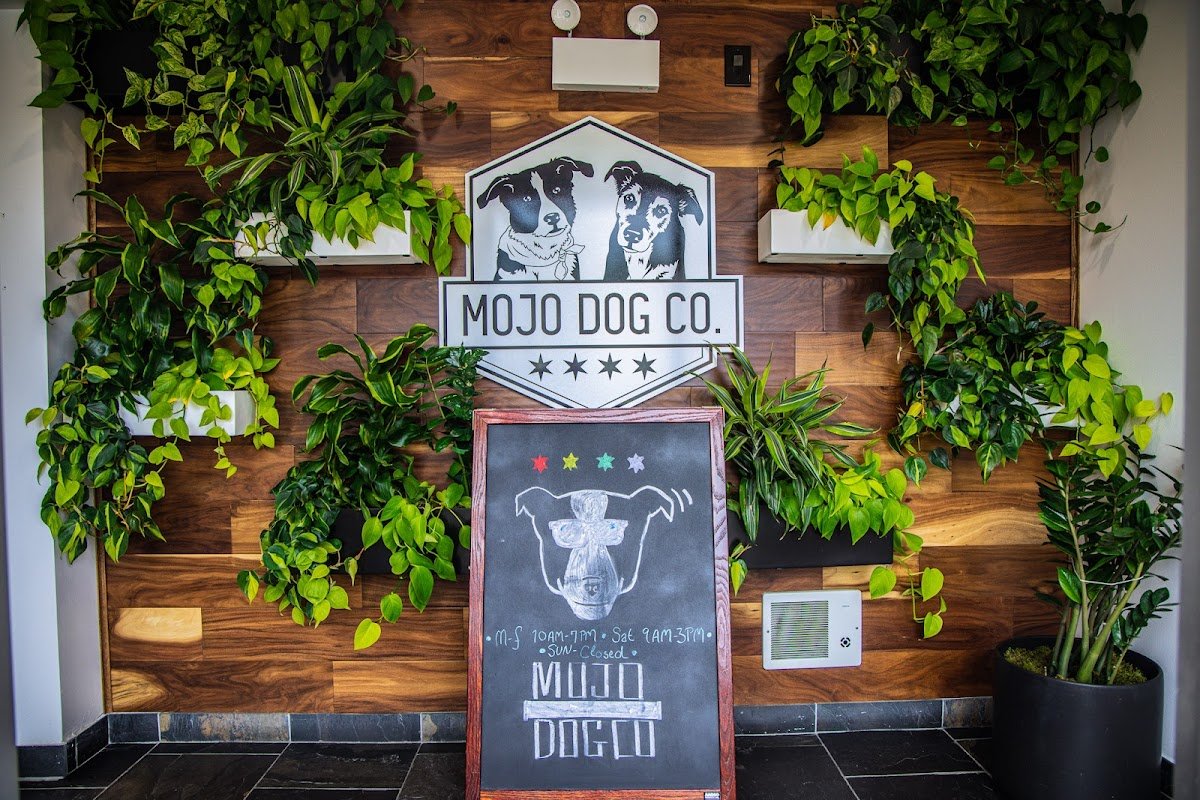 Mojo Dog Co. - Photo 2
