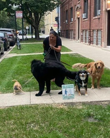 Happy Hound Haven Chicago - Photo 2