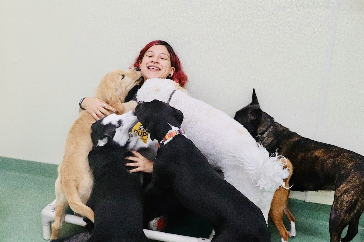 PUPS Pet Club - Photo 2