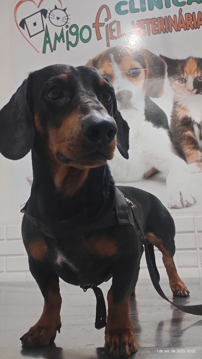 Faithful Friend Veterinary Clinic