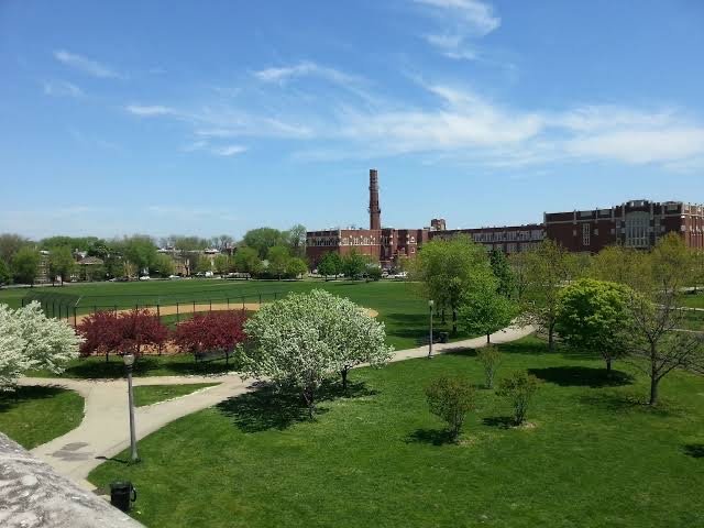 Winnemac Park - Photo 2