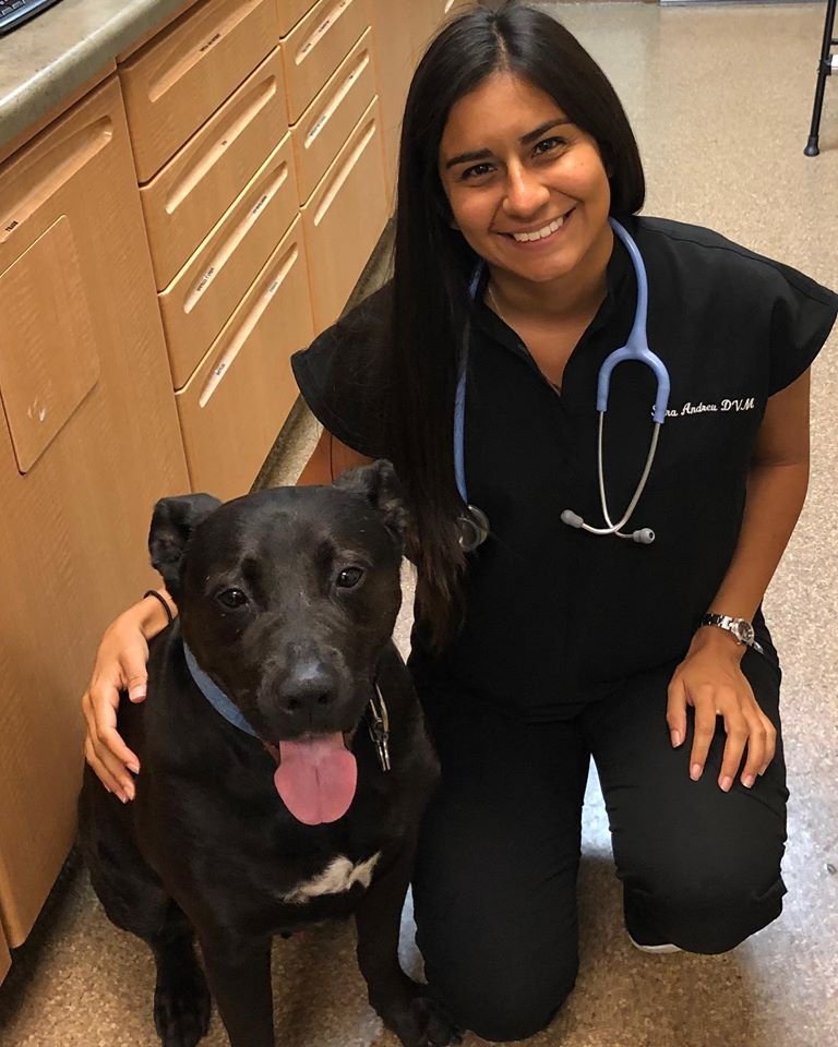 Hyde Park Animal Clinic - Photo 2