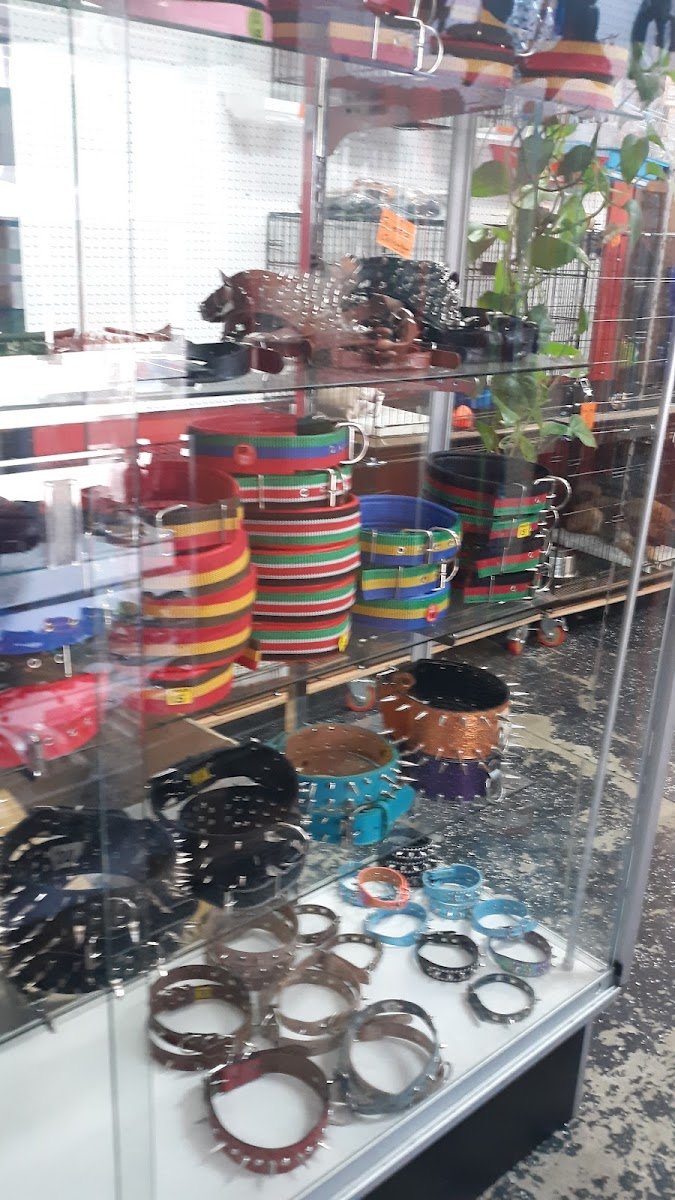 L L ,S PET SHOP - Photo 2