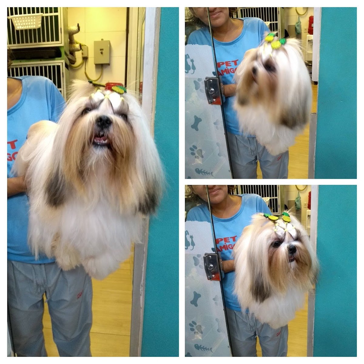 Pet Amigos - Parque Shopping