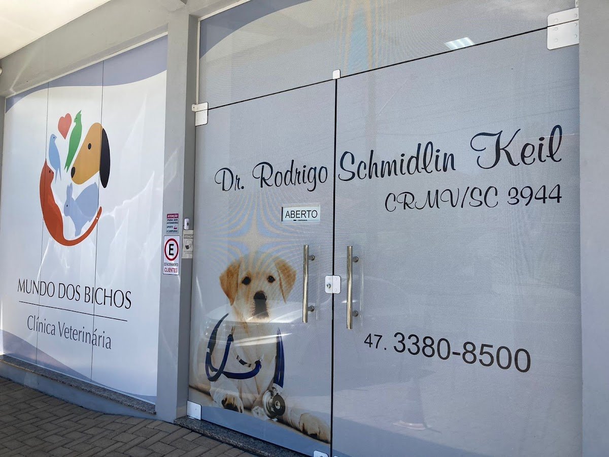 Mundo dos Bichos Clínica Veterinária - Timbó
