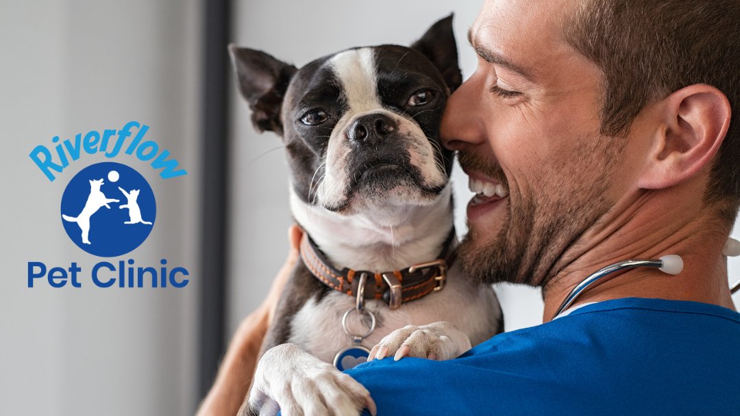 Riverflow Pet Clinic - Photo 2