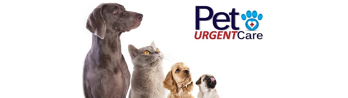 Pet Urgent Care - Photo 2