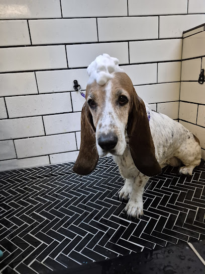 Just Stylin' Pet Grooming