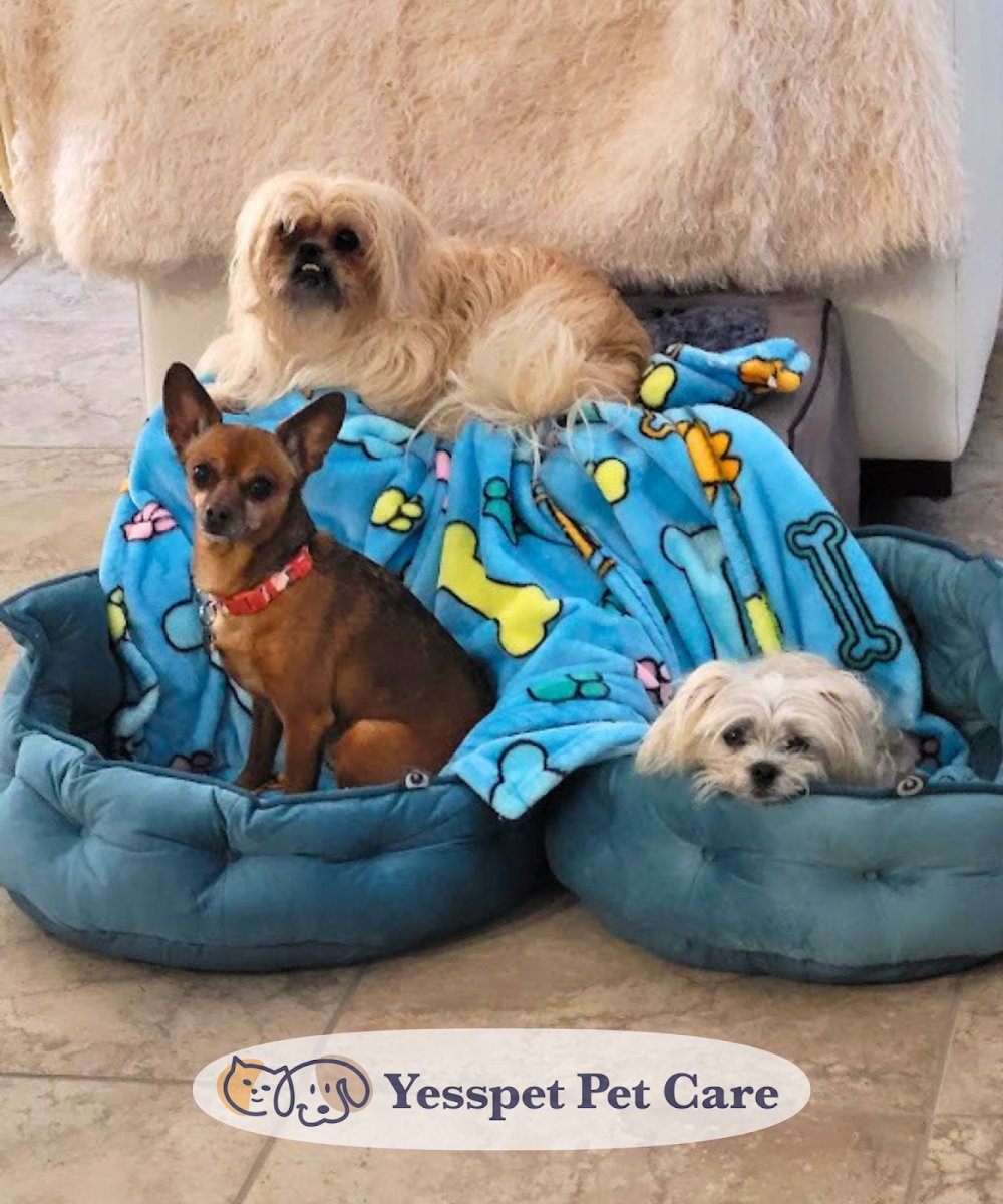 Yesspet Pet Care - Photo 2
