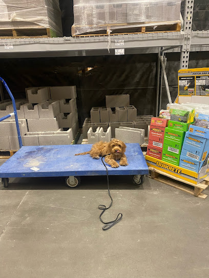 Training Tails K9 Services