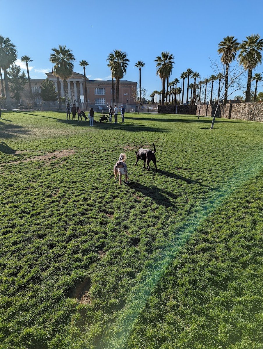 Hance Large Park Dog Park - Photo 2