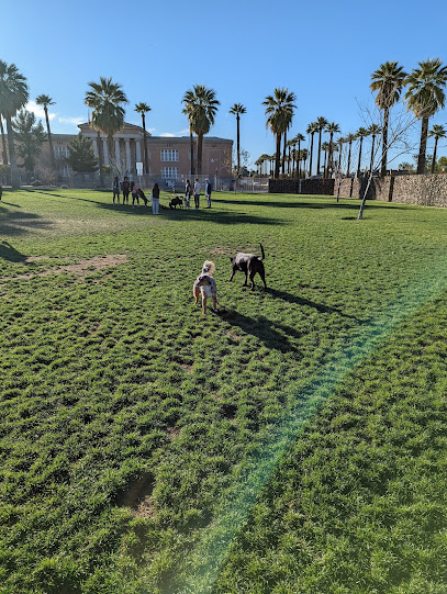 Hance Large Park Dog Park