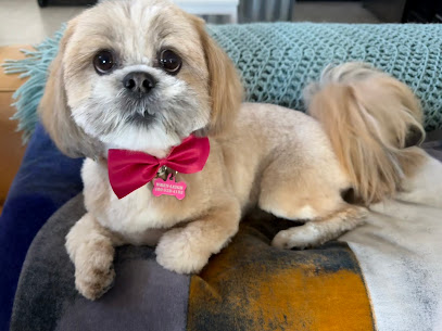 DapperTails Mobile Pet Grooming of Scottsdale