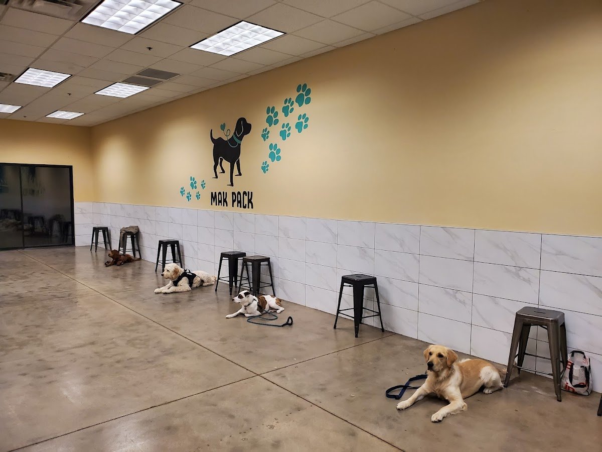 Mak Pack Dog Training & Boarding - Photo 2