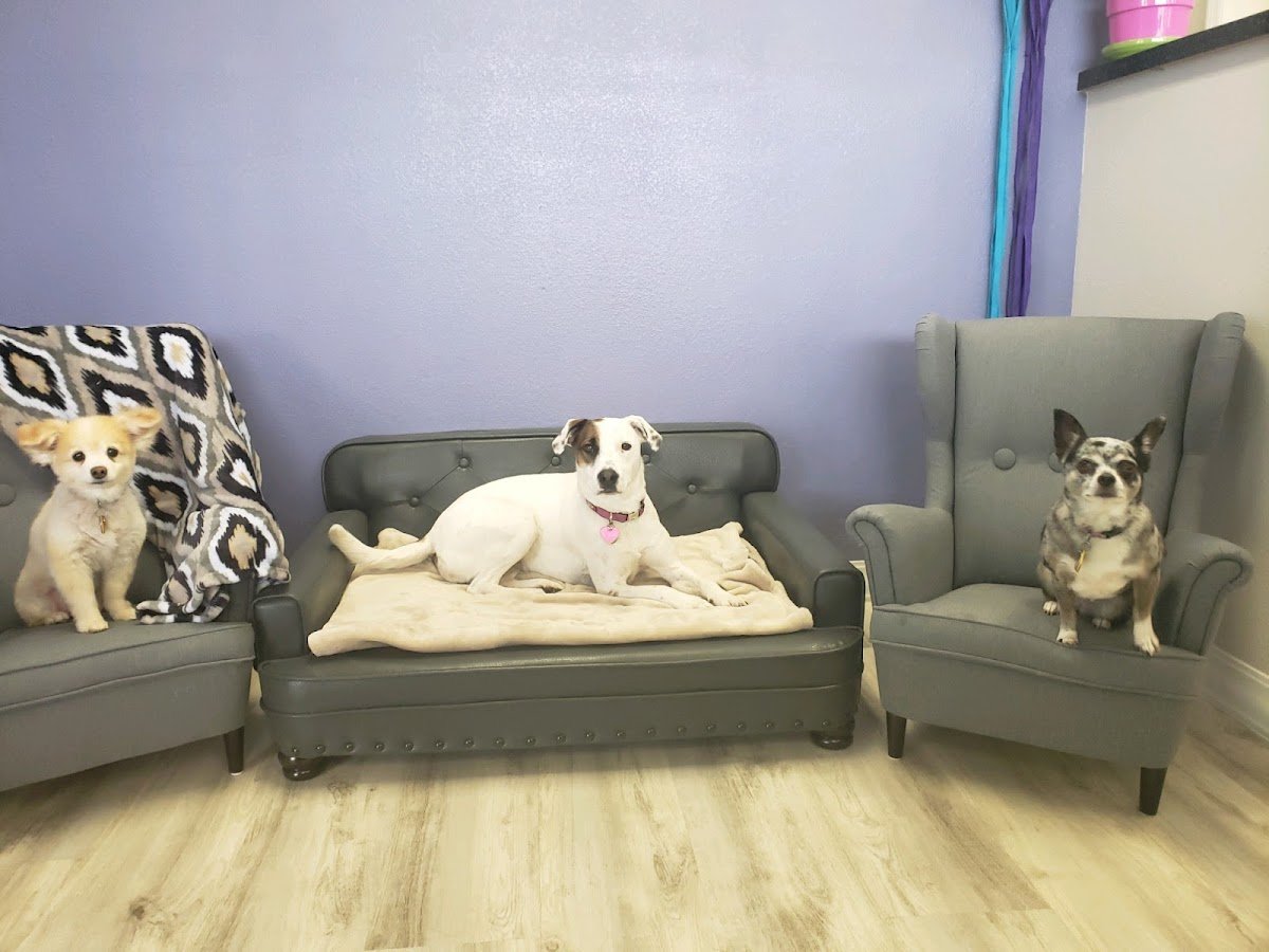 Mama Bear's Bed & Biscuit - Photo 2