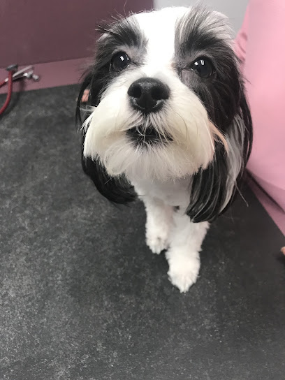 Orangewood Animal Hospital - Now Palo Verde Animal Hospital