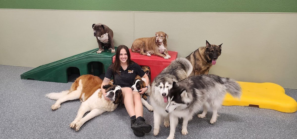 Mesa Dogs 24/7 - Photo 2