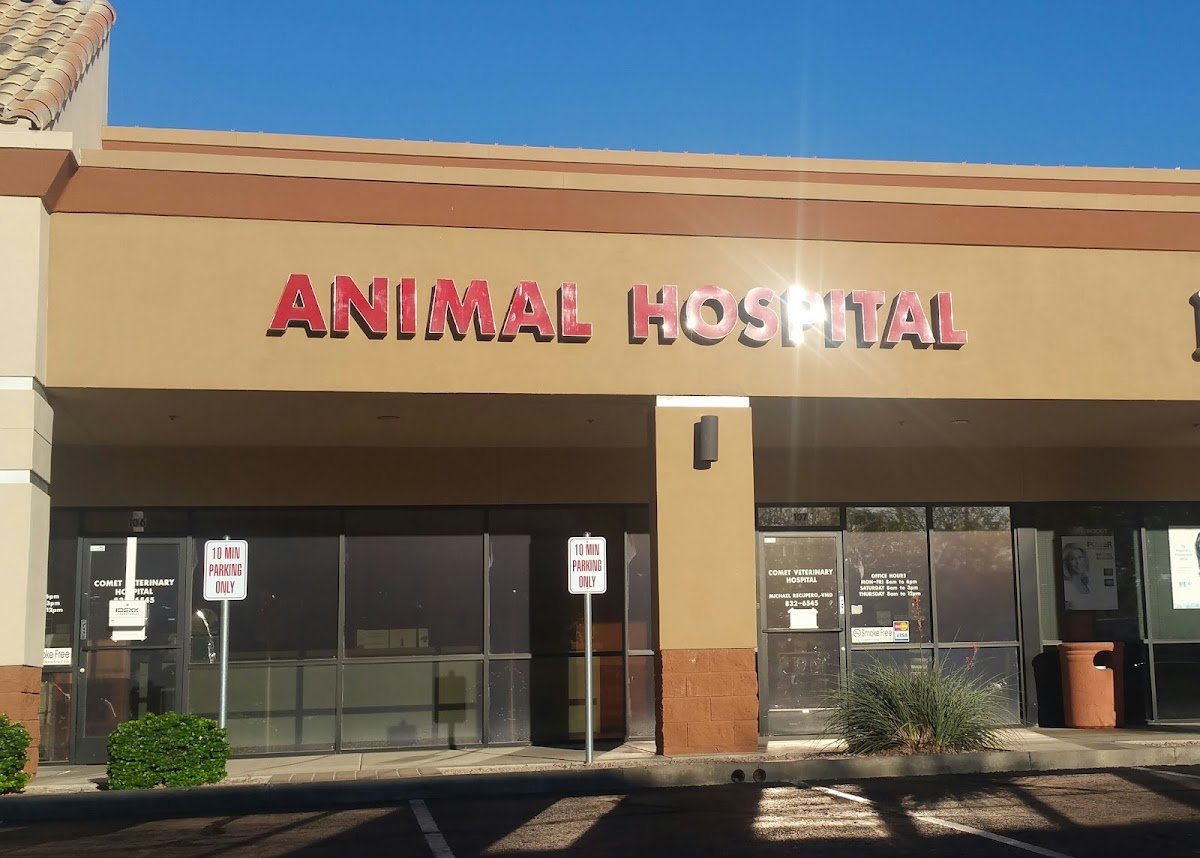 Comet Veterinary Hospital - Photo 2