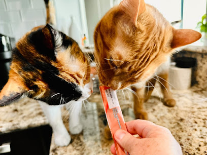 The PAWParazzi Petsitter / Petsitting by Jean - Pet Shop in Phoenix