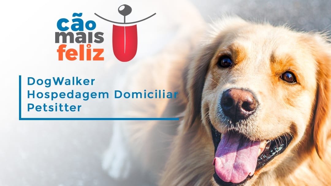 Cão Mais Feliz | Hospedagem Domiciliar & Passeador de Cães - Aracaju/SE