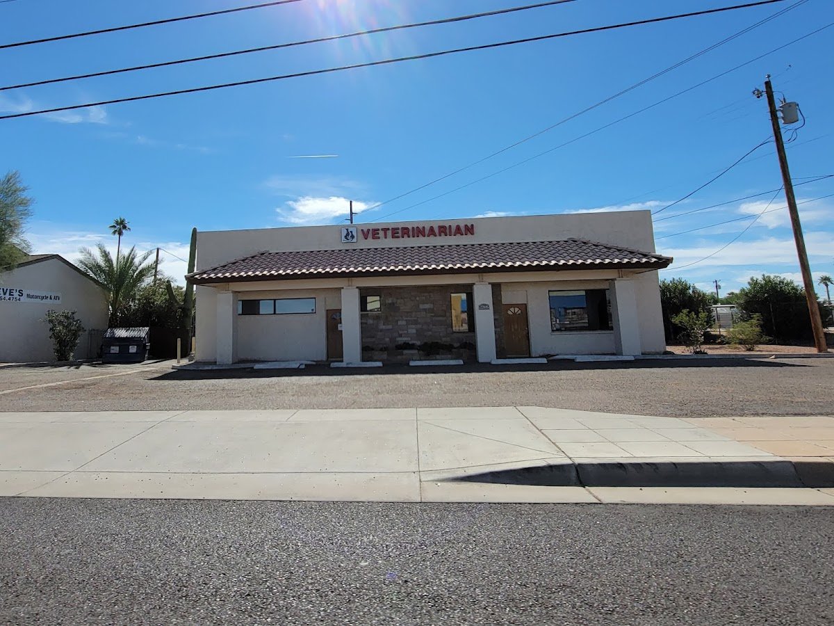 Central Mesa Veterinary Hospital - Photo 2