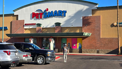 PetSmart Doggie Day Camp