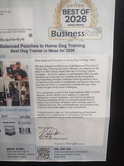 Balanced Pooches In Home Dog Training
