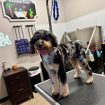 The Dapper Doxie - Pet Shop in Phoenix