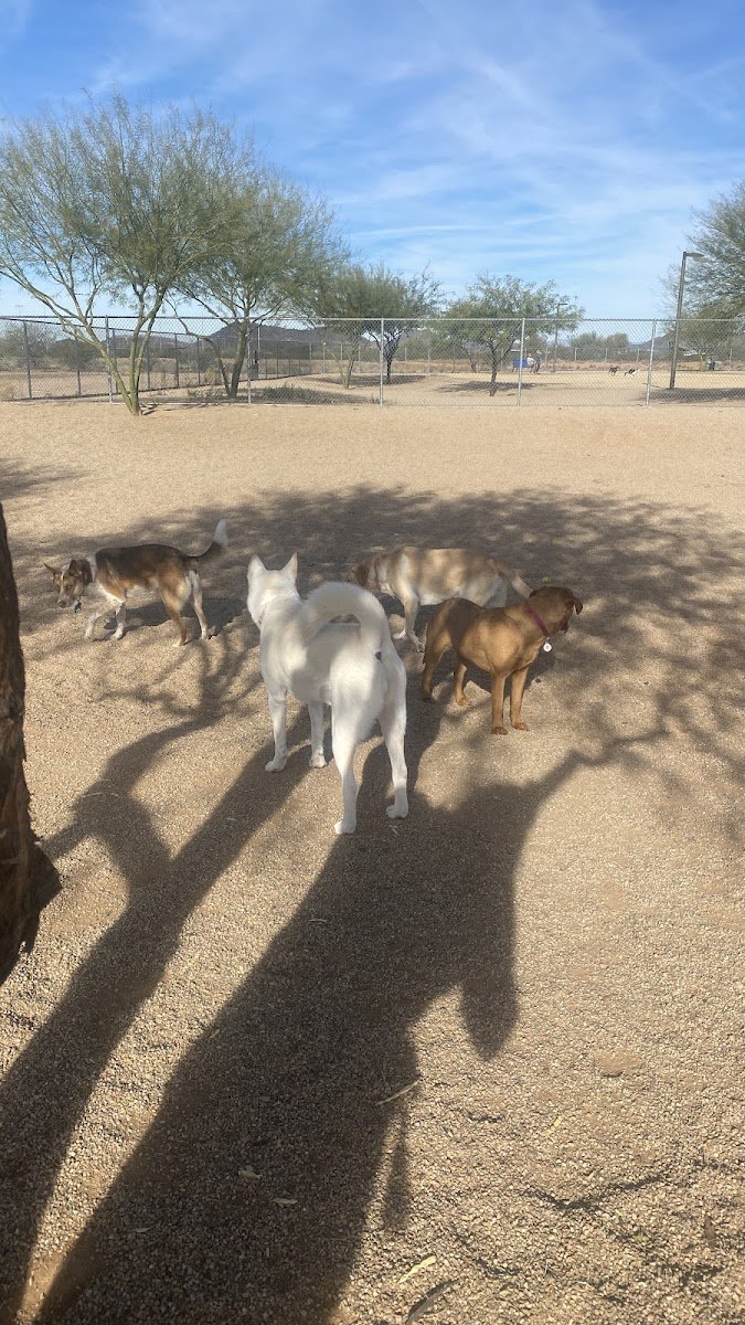 Pinnacle Dog Park - Photo 2