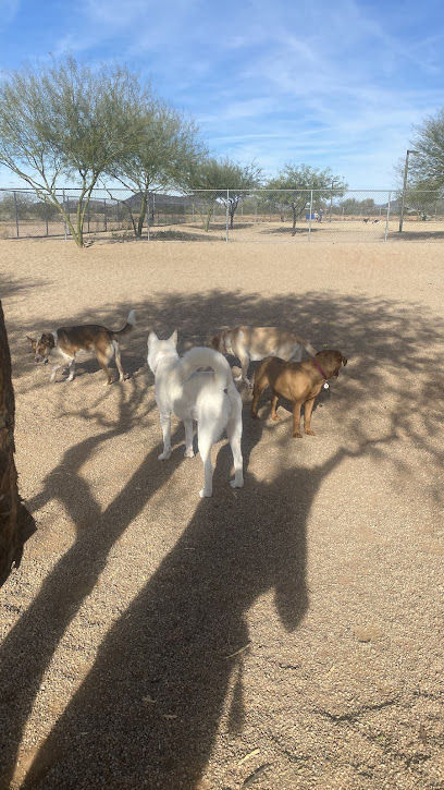Pinnacle Dog Park - Pet Shop in Phoenix