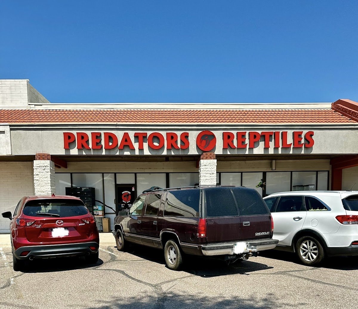 Predators Reptile Center - Photo 2