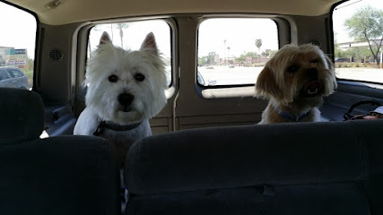 It's A Dog's World - Pet Shop in Phoenix