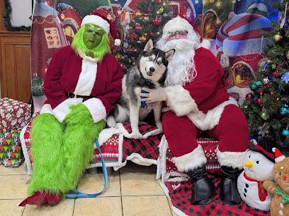 PetSmart Doggie Day Camp