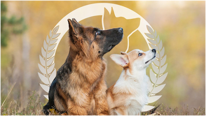 Dog Training Elite Phoenix