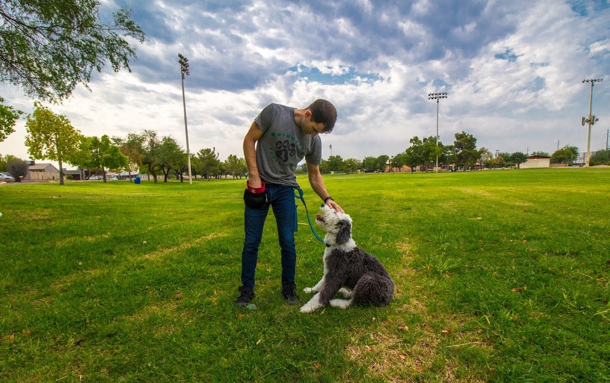 Balancing Paws Dog Training - Photo 2