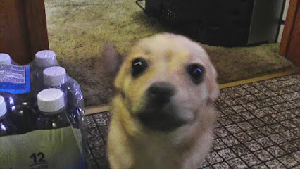 Pets Plus - Philadelphia