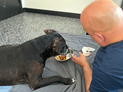 Wyncote Animal Hospital - Pet Shop in Philadelphia