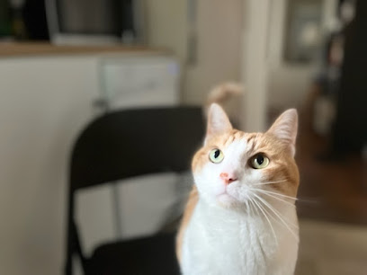 Pye & Odie's Petsitting