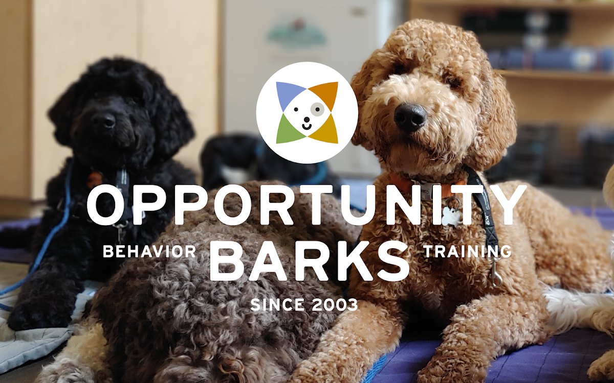 Opportunity Barks Behavior & Training - Photo 2