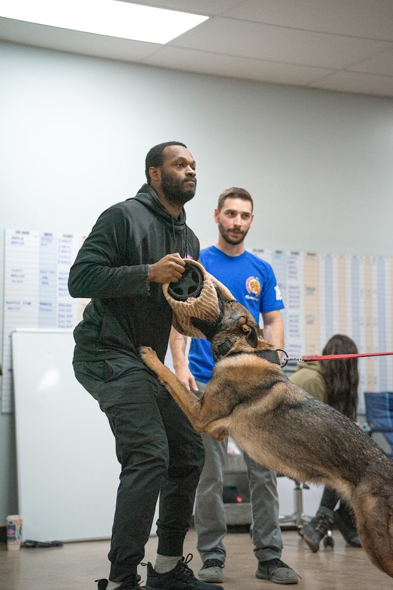 Nocksdogservices - Photo 2