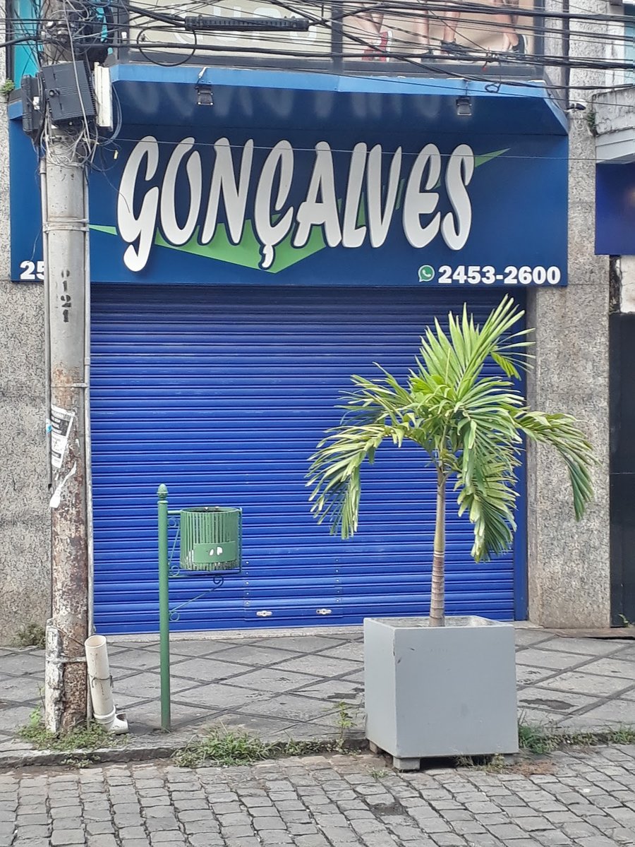 Gonçalves, Maria F P - Valença