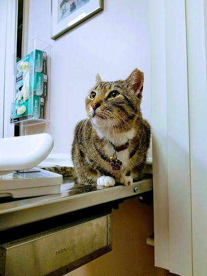 Mt Airy Animal Hospital