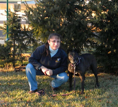 Bark Busters Collegeville, Pottstown and Norristown