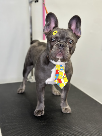 Deborah’s Pawfection