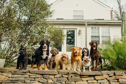 Dog Gone Walking LLC (Main Line and Havertown, PA), Ilene Wellner