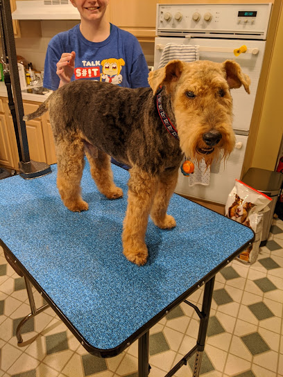 Barking Beauty - Pet Shop in Philadelphia