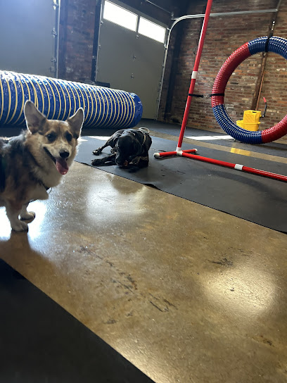 Oggie's Doggies Passyunk Square